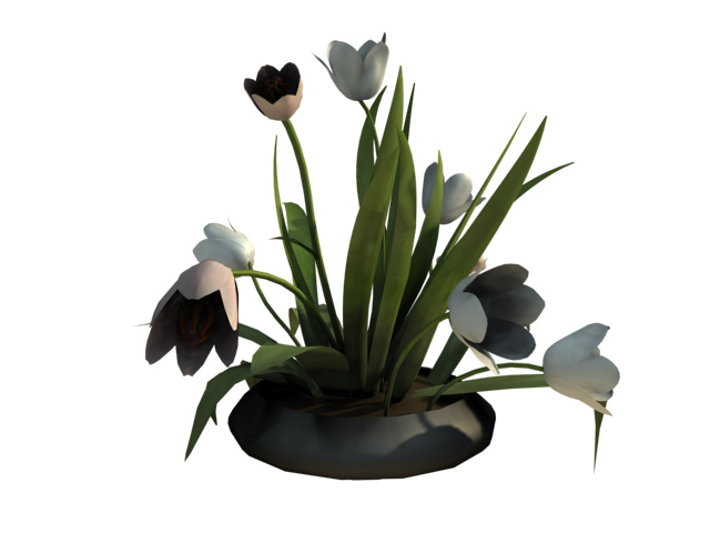 Tlchargement GRATUIT de modles 3D!