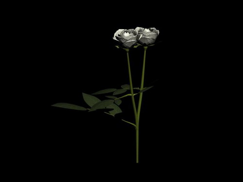 Tlchargement GRATUIT de modles 3D!