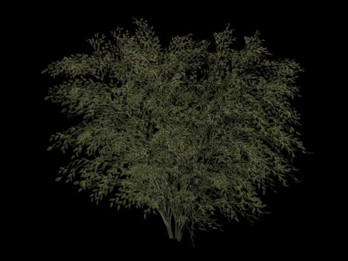 Tlchargement GRATUIT de modles 3D!