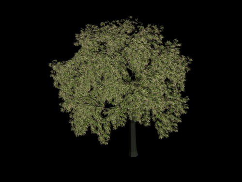Tlchargement GRATUIT de modles 3D!