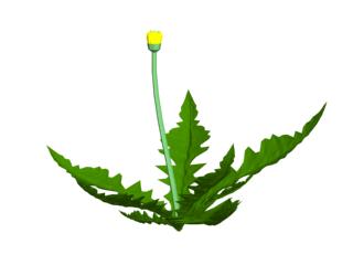 Tlchargement GRATUIT de modles 3D!