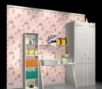 Cabinets  029
