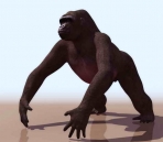 les gorilles des animaux  22