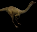 Dinosaurs animaux  52