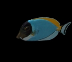 poissons animaux 56-3