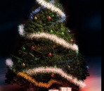 Arbre de Noël