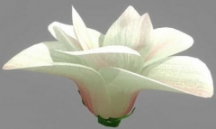 Fleur, Magnolia modles 3D (format mb, avec carte)