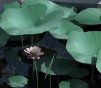 Feuille de lotus avec Lotus modle 3D (avec carte)